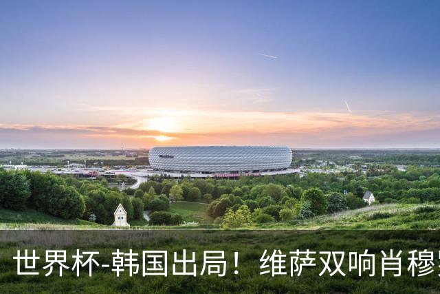 世界杯-韩国出局！维萨双响肖穆罗多夫神仙球 民主刚果3-1乌兹